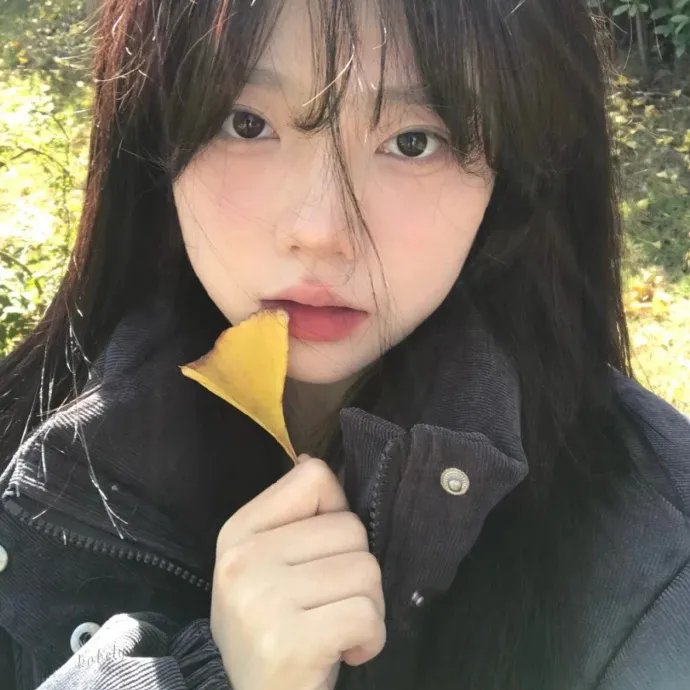 你被川普了 在线观看